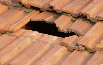 roof repair Shebdon, Staffordshire