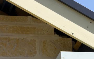 soffit repair Shebdon