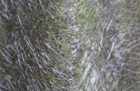 Shebdon fibreglass roof work